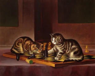 Chatons jouant aux échecs